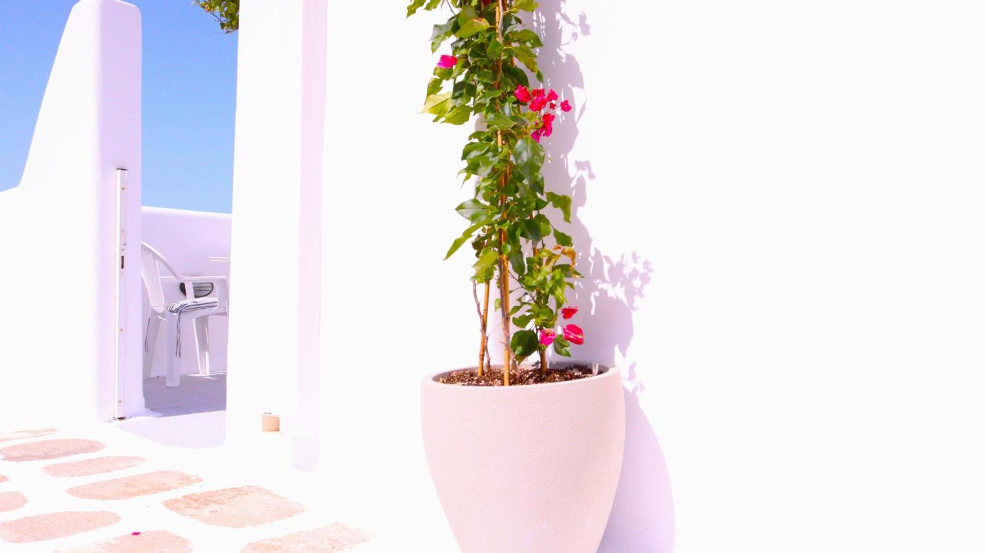 Lemon Tree Maisonette - Naoussa Paros Екстериор снимка