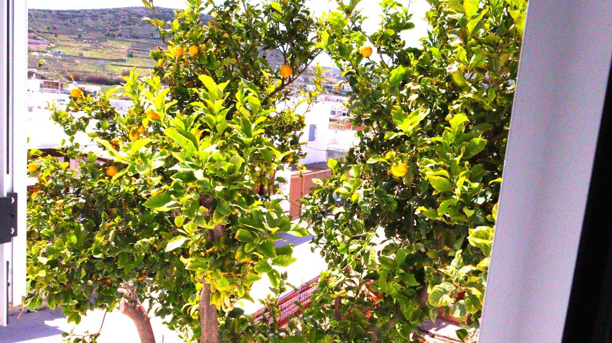 Lemon Tree Maisonette - Naoussa Paros Екстериор снимка